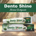 Dentoshine Herbal Toothpaste – Advanced Natural Care Formula for Healthy Teeth & Gums